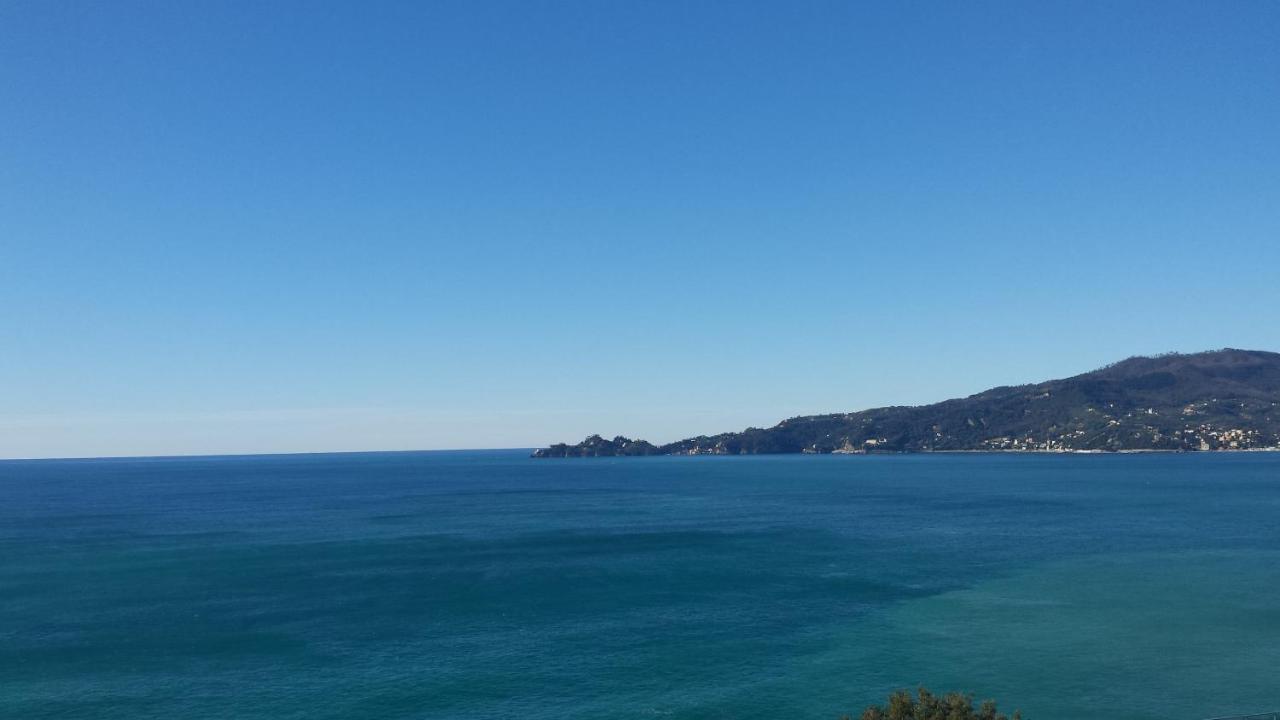 Vista Mare E Portofino - Sea And Portofino View Zoagli Exterior photo